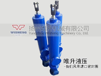 DYTZ整体直式电液推杆